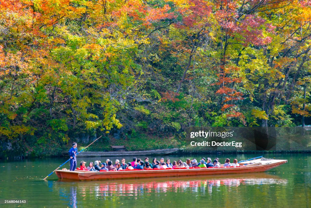 Tourist sight seeing boat and colorful maple trees along Geibikei Gorge in autumn, Ichinoseki, Iwate