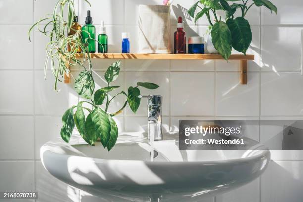 water flowing from faucet in bathroom sink with plants and oil bottles on shelf - lavabo photos et images de collection