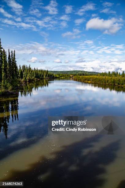 the chena river - fairbanks stock pictures, royalty-free photos & images