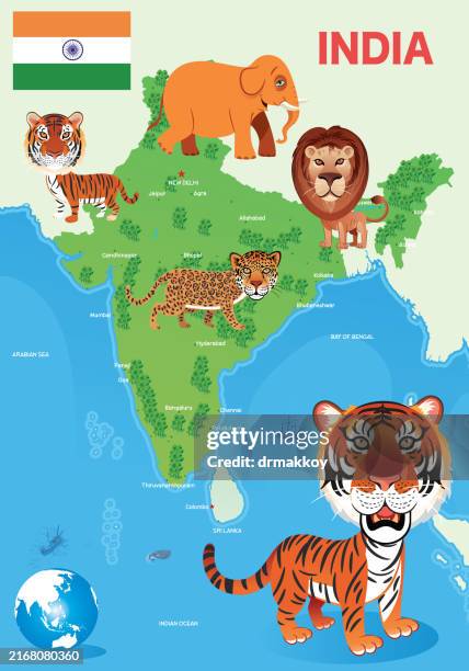 india animals map - indochinese tiger stock illustrations