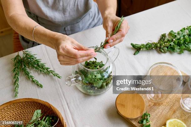 woman putting herbal leaves in teapot for making tea at home - rosmarin bildbanksfoton och bilder