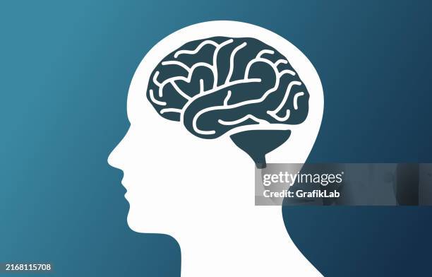 ilustraciones, imágenes clip art, dibujos animados e iconos de stock de concepto de salud de la cabeza y el cerebro humano - cabeza humana