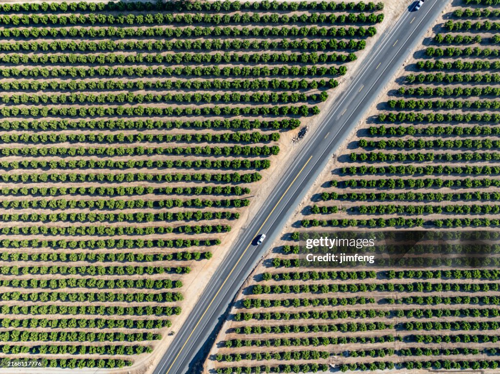 Aerial Highway CA-198 Sierra Dr scene at Lemon Cove, california, USA