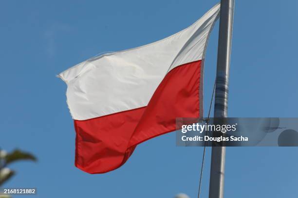 poland national flag - polish flag stock pictures, royalty-free photos & images