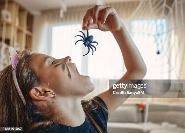 beautiful girl on halloween day dressed as a cat eating spider - ongewerveld dier stockfoto's en -beelden