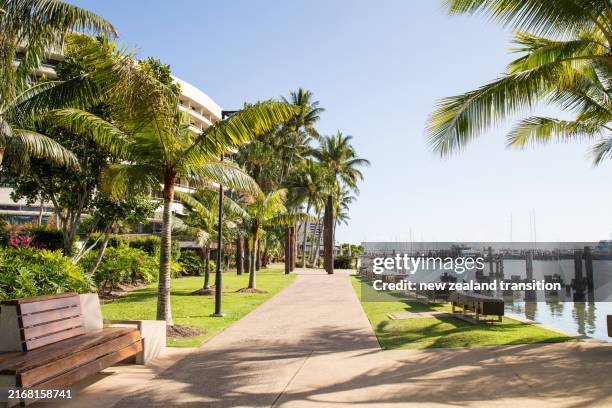 palm tree lined walkway along cairns esplanade on a fine sunny day, cairns, qld, australia - cairns australië stockfoto's en -beelden