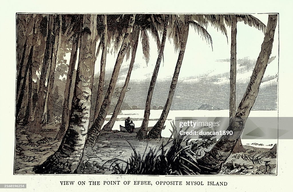 View on the point of Efbee, opposite Mysol island, Raja Ampat Islands. One of the four Greater Sunda Islands 1880s, 19th Century Vintage illustration