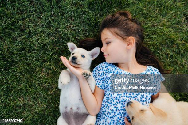 amore cura e finisce amicizia, ragazza e un cagnolino - supino foto e immagini stock