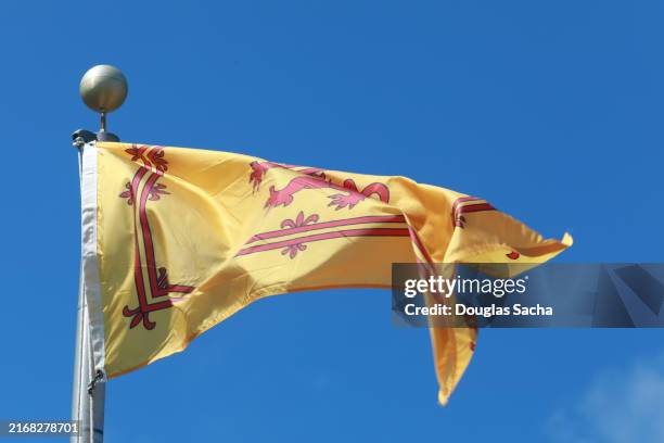 royal flag of scotland, the lion rampant banner - lion rampant stock pictures, royalty-free photos & images