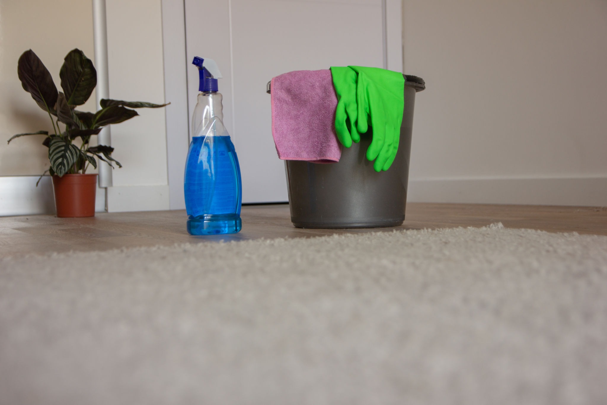 carpet cleaning tools