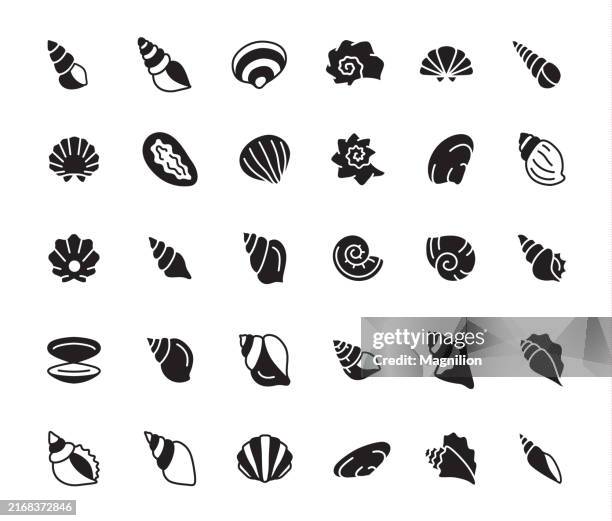 illustrazioni stock, clip art, cartoni animati e icone di tendenza di icona della conchiglia impostata in bianco e nero, illustrazione vettoriale - chiocciola simbolo ortografico