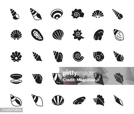 Seashell Icon Set in Black and White, Vector Illustration Seashell Icon Set in Black and White, Vector Illustration