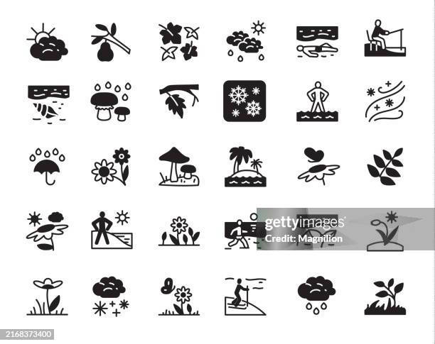 illustrations, cliparts, dessins animés et icônes de ensemble d’icônes de météo et de nature avec des éléments saisonniers, des plantes et des activités de plein air - parterre-de-fleurs