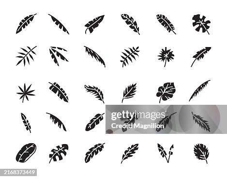 Leaf Icon Set Featuring Various Leaf Shapes and Textures, Vector Illustration Leaf Icon Set Featuring Various Leaf Shapes and Textures, Vector Illustration
