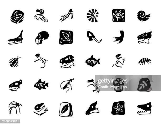 illustrations, cliparts, dessins animés et icônes de ensemble d’icônes fossiles et préhistoriques en noir, avec des squelettes et des artefacts, illustration vectorielle - paléontologie