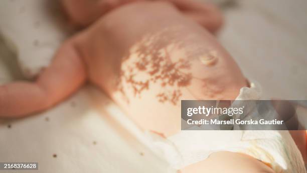 la sombra de las flores en el vientre de un recién nacido. - sólo bebés fotografías e imágenes de stock