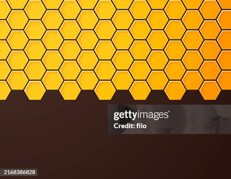 Beehive Honey Pattern Edge Beehive Honey Pattern Edge
