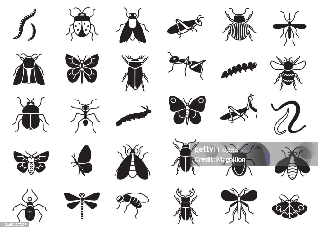 Conjunto de iconos de insectos e insectos, ilustraciones vectoriales de insectos comunes y artrópodos