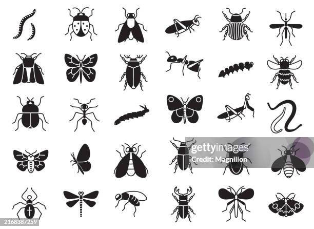 illustrazioni stock, clip art, cartoni animati e icone di tendenza di set di icone di insetti e insetti, illustrazioni vettoriali di insetti e artropodi comuni - insetto