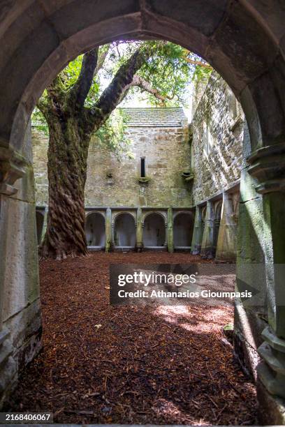 Enclosure in Kilcorney
