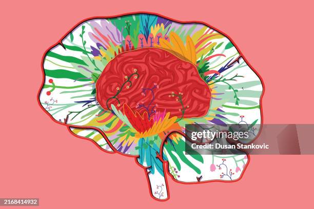 Brain Scan Learning 195 Brain Scans Learning Stock Photos, High-Res Pictures, and Images ...