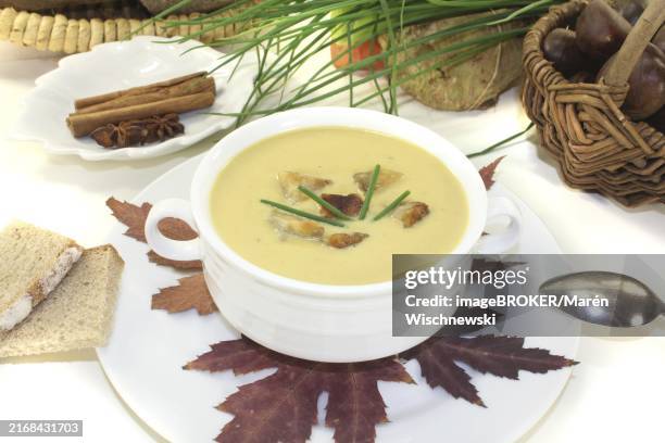 fresh chestnut soup with cinnamon against a light background - cream soup stock pictures, royalty-free photos & images