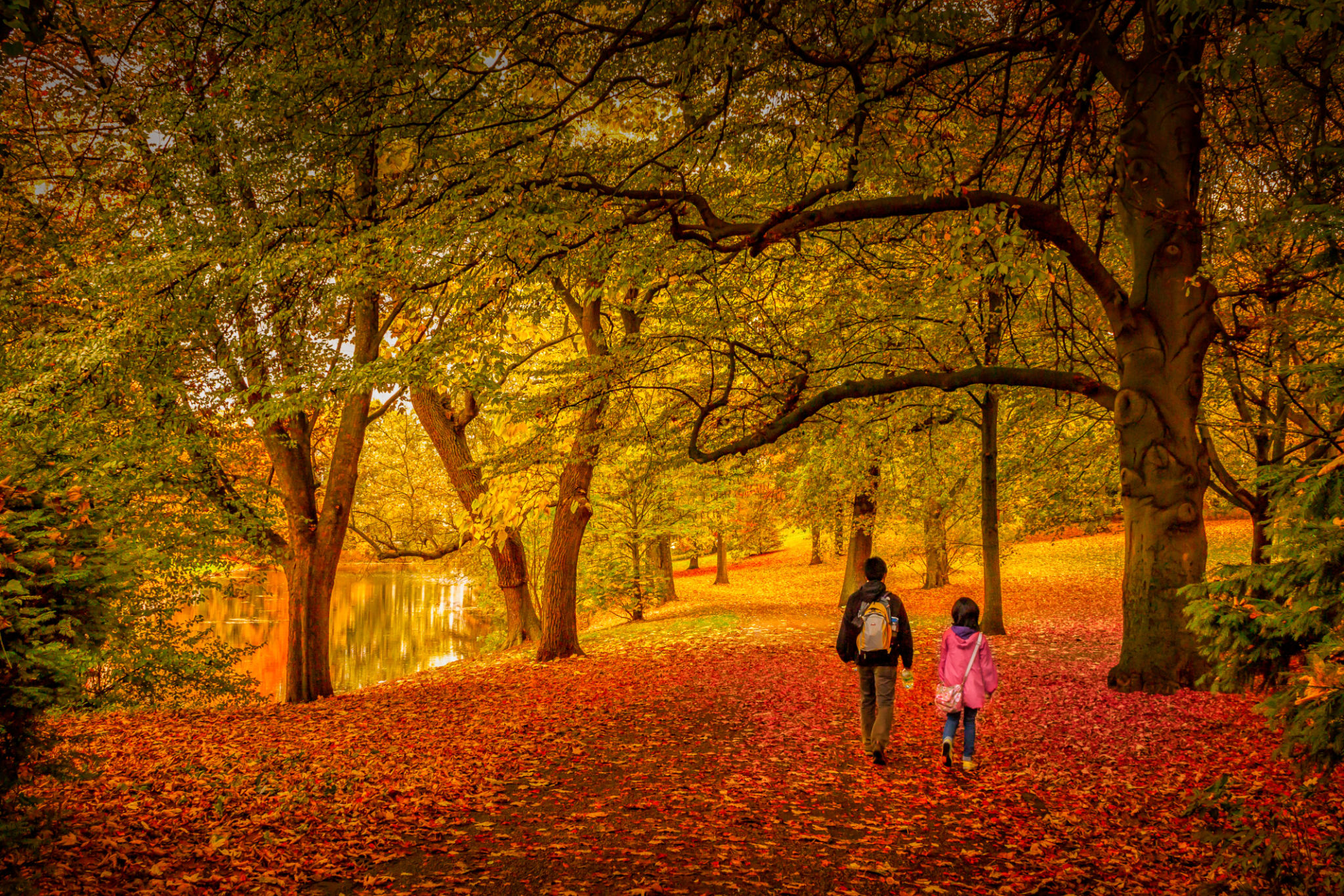 Rear View Of People Walking In Forest During Autumn Rear View Of People Walking In Forest During Autumn