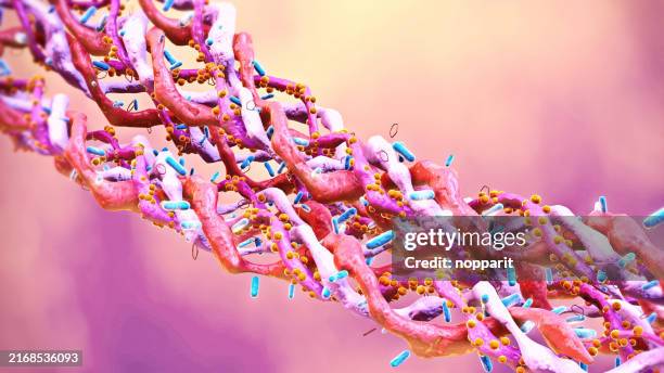 collagen triple helix molecules. - kraakbeen stockfoto's en -beelden