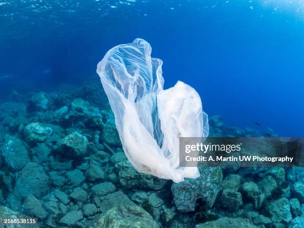 plastic bag in the ocean - plastic bag stock pictures, royalty-free photos & images