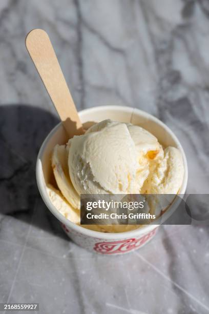 welsh ice cream, monmouthshire, wales, united kingdom, europe - vanilla ice cream stock pictures, royalty-free photos & images
