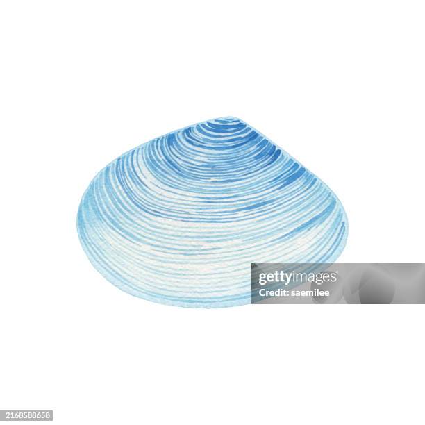 illustrations, cliparts, dessins animés et icônes de coquillage aquarelle bleu - monde marin