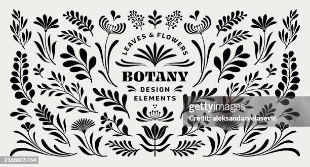 illustrazioni stock, clip art, cartoni animati e icone di tendenza di elementi di design di fiori e foglie - botanical
