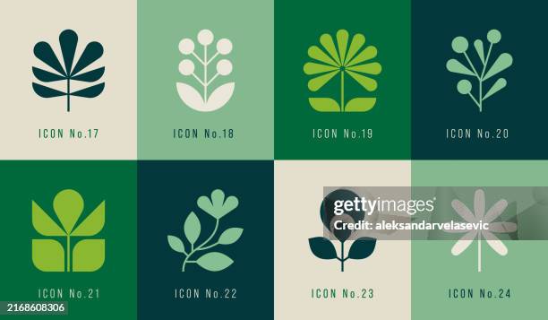 illustrazioni stock, clip art, cartoni animati e icone di tendenza di icone geometriche di fiori e foglie - famiglia delle margherite