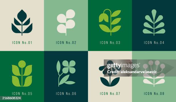 illustrazioni stock, clip art, cartoni animati e icone di tendenza di icone geometriche di fiori e foglie - botanical