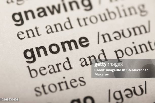 gnome, word in dictionary. macro shot. selective focus - magic disappear stock illustrations