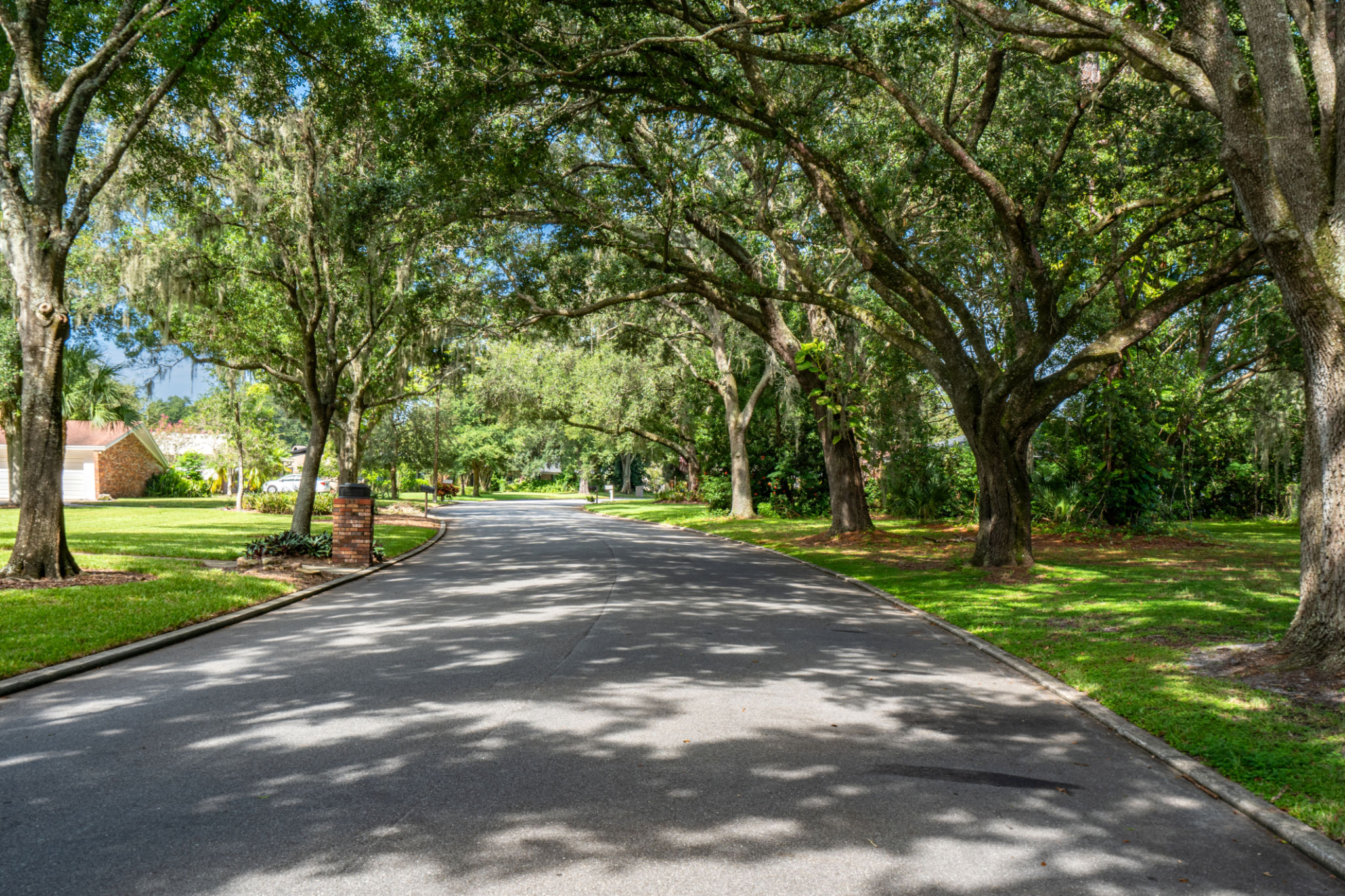 Beautiful Spanish Moss and Oak Tree Lined Classic Orlando Florida Residential Neighborhood Beautiful Spanish Moss and Oak Tree Lined Classic Orlando Florida Residential Neighborhood