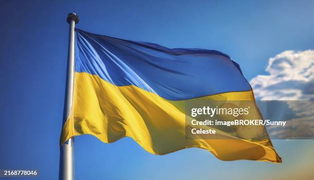 flags, the national flag of ukraine, fluttering in the wind - bandeira-da-ucrânia imagens e fotografias de stock