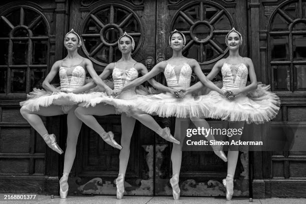 Cygnet swans from the state ballet of Georgia production of "Swan Lake" pose in front of the main entrance of the London Coliseum on August 27, 2024...