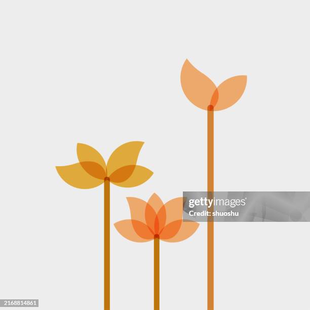 abstract colors luxury lotus flower simplicity deco pattern background - water lily stock illustrations