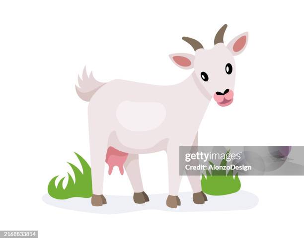 stockillustraties, clipart, cartoons en iconen met happy goat. coloring book for children. - kinderboerderij