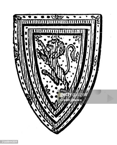 heraldik wappen und flaggenelemente: charges, tressure (wappen von schottland) - schotte stock-grafiken, -clipart, -cartoons und -symbole