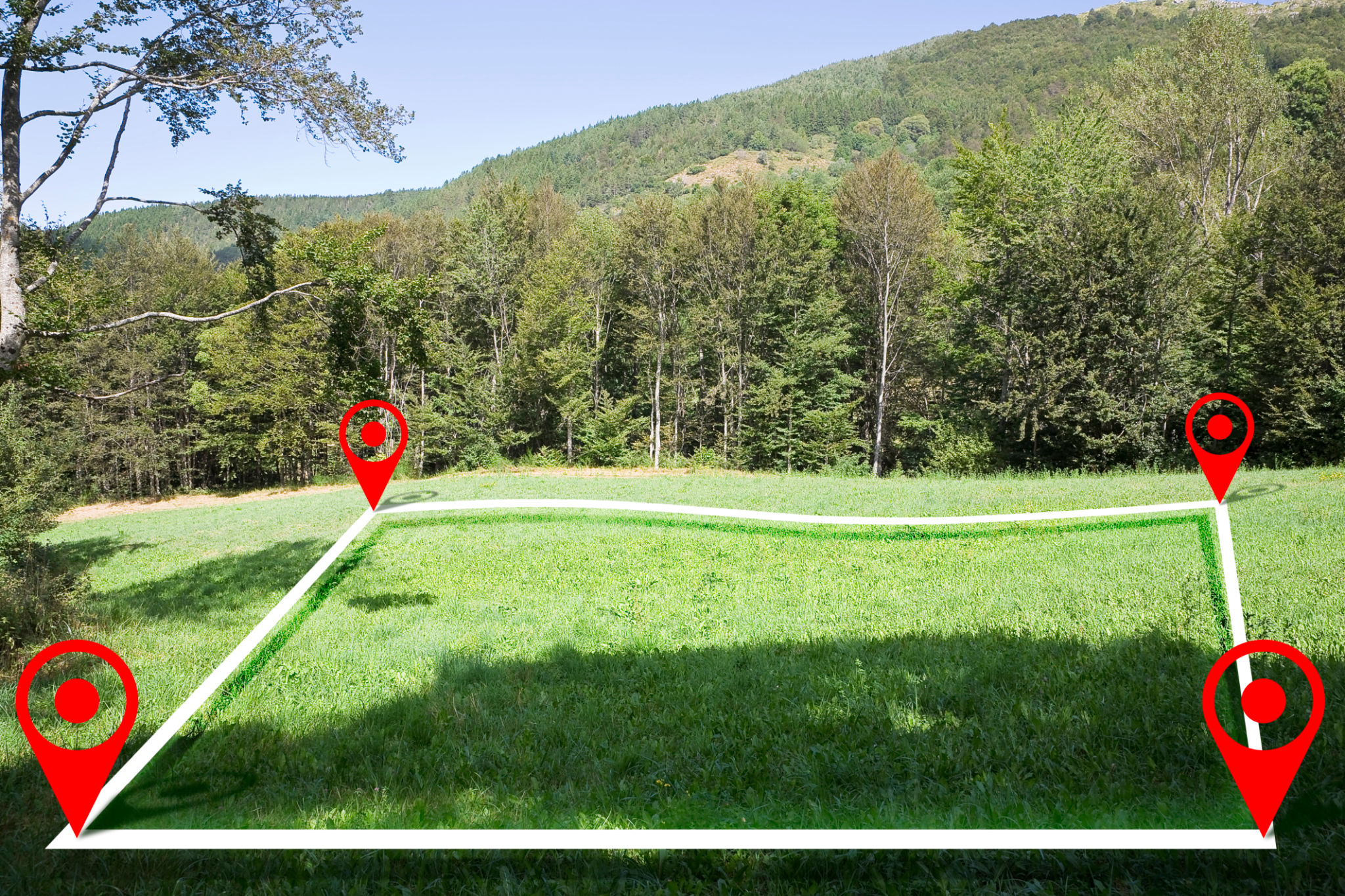 location saisonnière