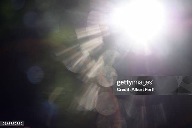 sunlight - reflejo fotografías e imágenes de stock