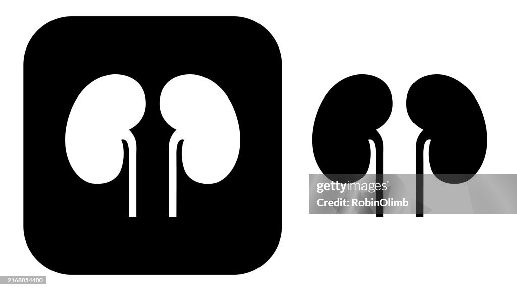 黒と白の腎臓のアイコン