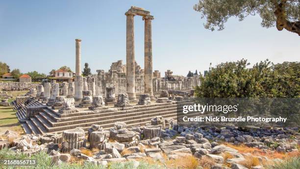 temple of apollo, didyma, turkey. - templo de apolo corinto imagens e fotografias de stock
