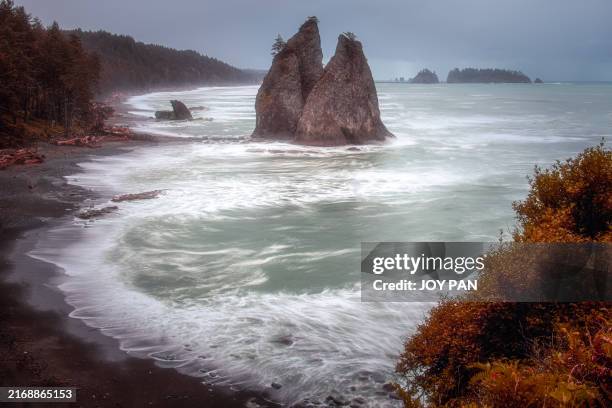 une nuit nuageuse à rialto beach - olympic national park, wa - olympic peninsula photos et images de collection