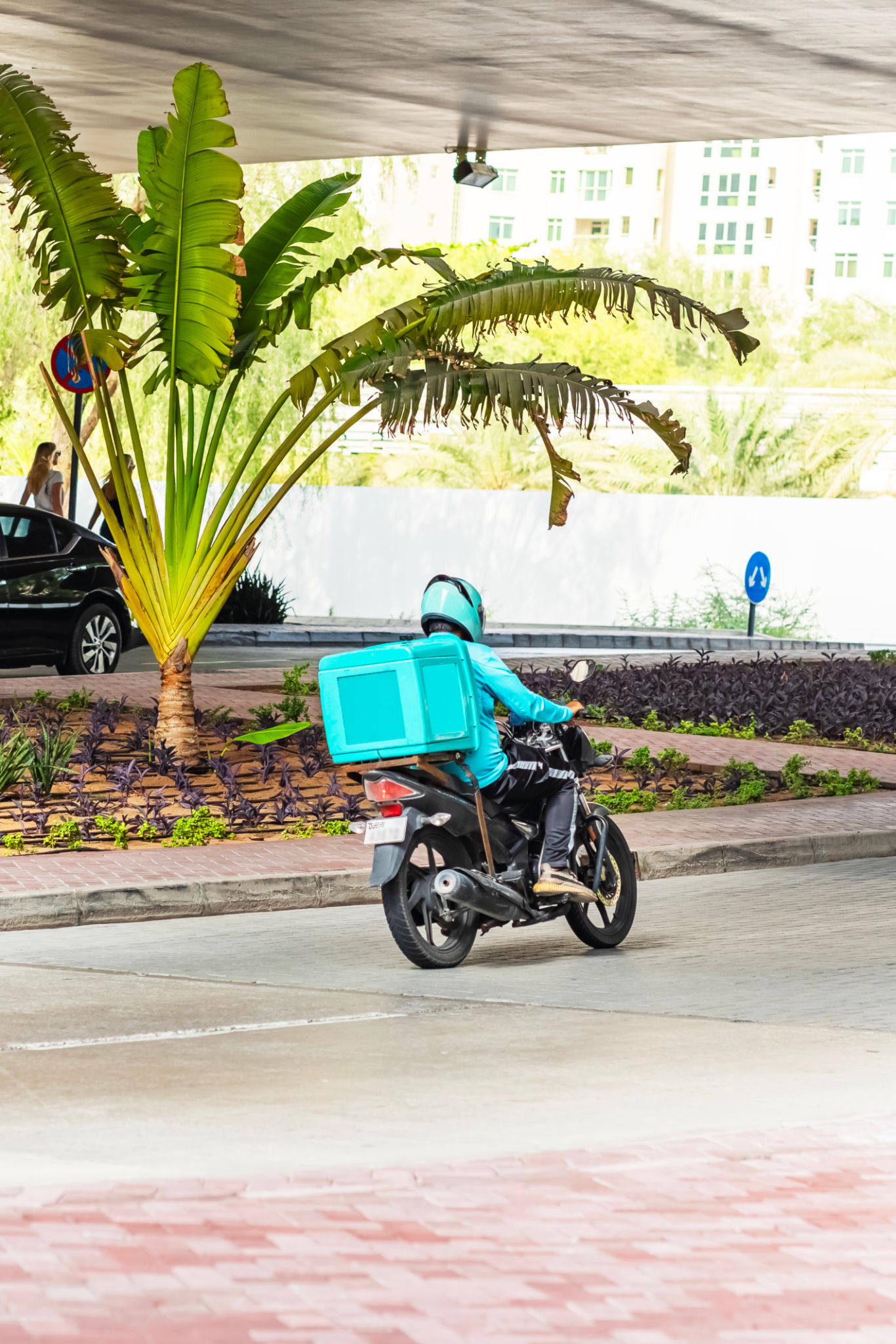 meal delivery UAE
