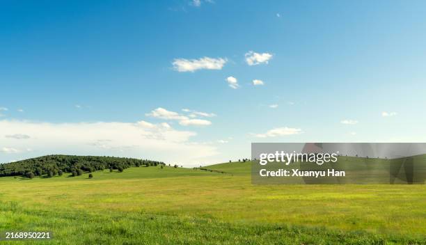 green grassland scenery - grasveld stockfoto's en -beelden