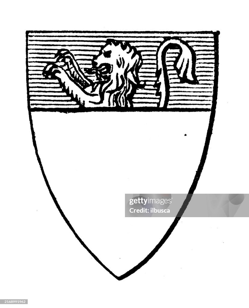 Simple Heraldry Heraldry Coat Of Arms And Flag Elements Common Charges High-Res Vector ...
