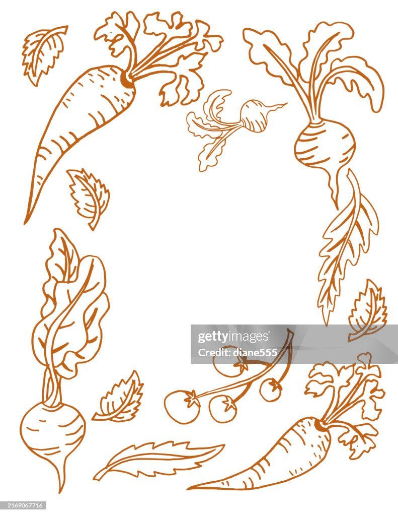 Hand Drawn Vegetable Border With Copy Space